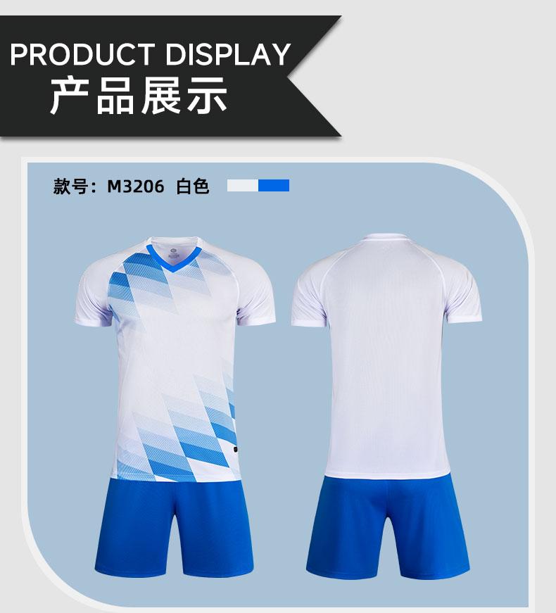 M3206 White Blue display