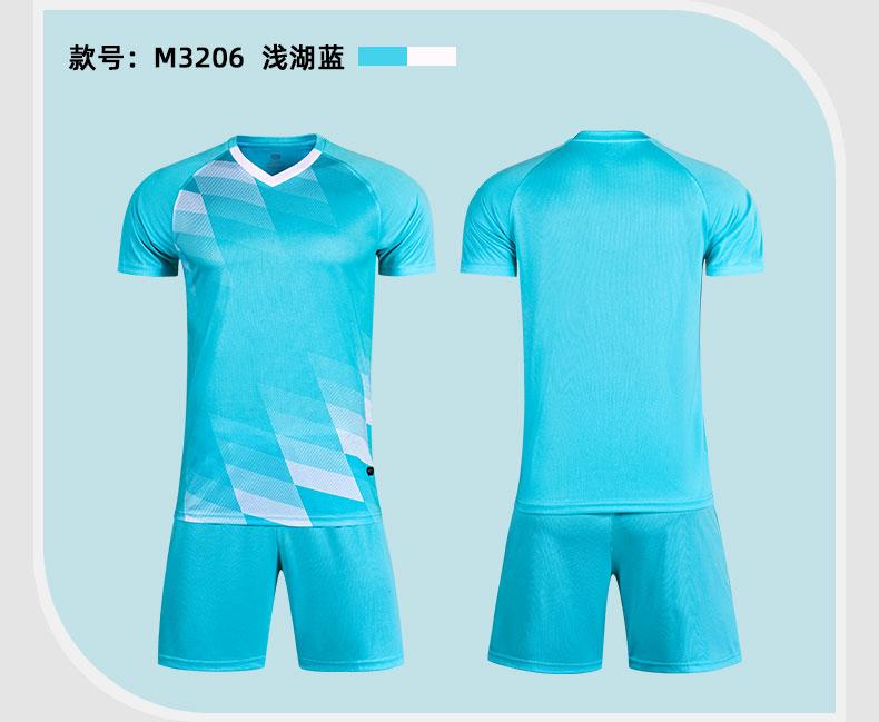 M3206 Cyan display