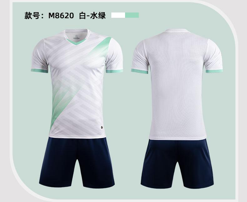 M8620 White Green display