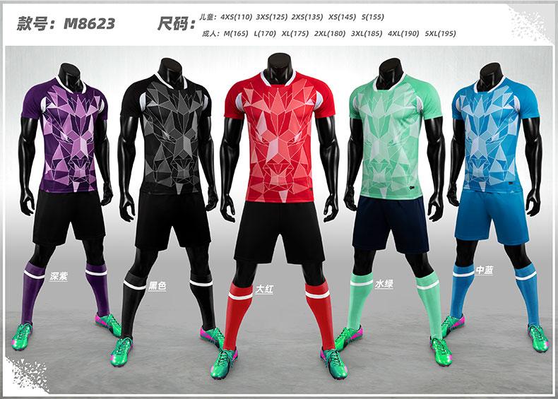 M8623 lineup color display