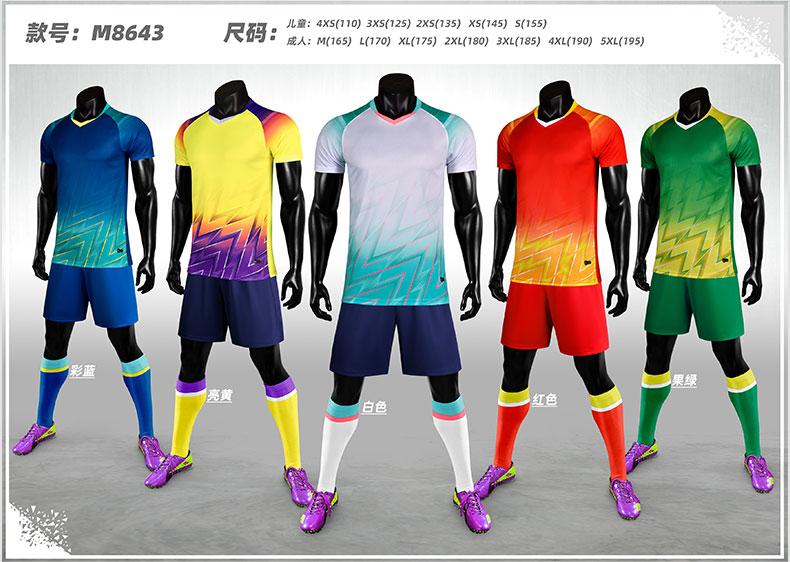 M8643 color lineup display