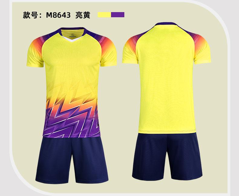M8643 Yellow Purple display