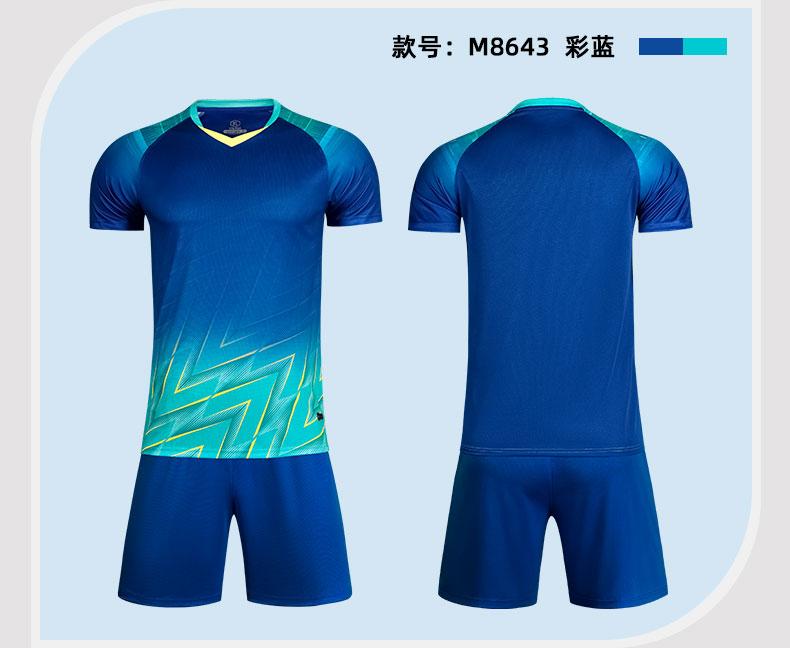 M8643 Blue Aqua display