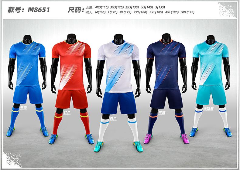 M8651 color lineup display detail