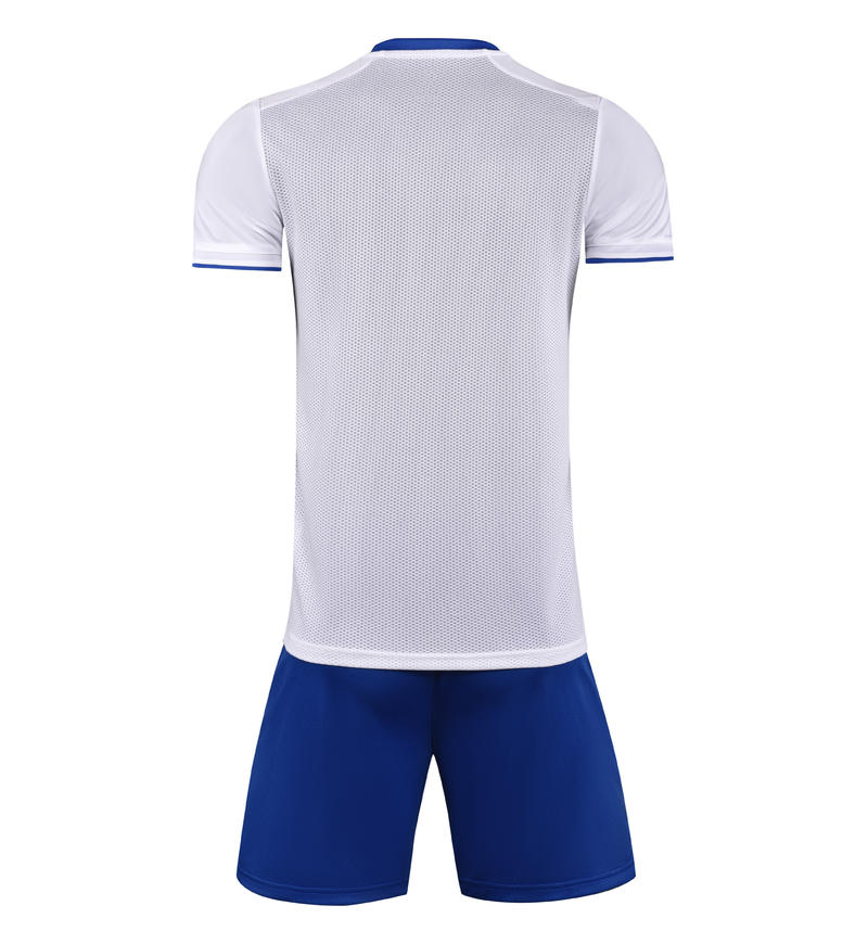 M8651 White Blue back